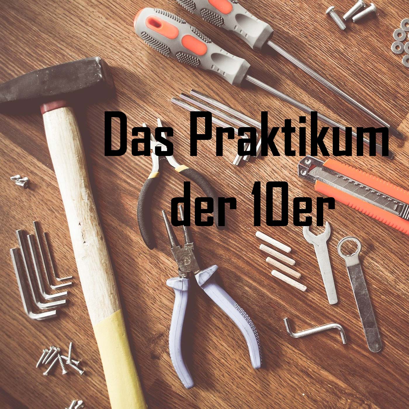 Stemweder Schul-Talk