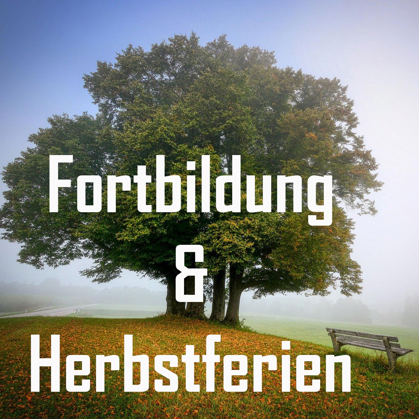 Stemweder Schul-Talk